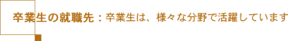 卒業生の就職先：卒業生は、様々な分野で活躍しています。